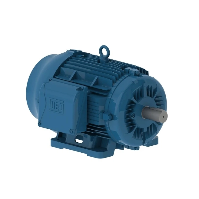 MOTOR TRIFASICO 6P IP55 W22 C200L 380/660 30HP 11572970 WEG 01