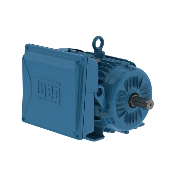 MOTOR MONOFASICO 2P IP 55 C132M 220/440 7,5HP 13942593 WEG 01