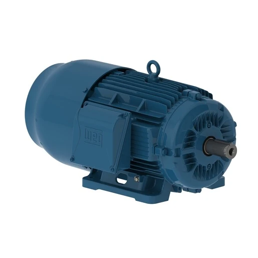 MOTOFRENO TRIFASICO 4P IP 55 FTE 25HP 14103838 WEG 01