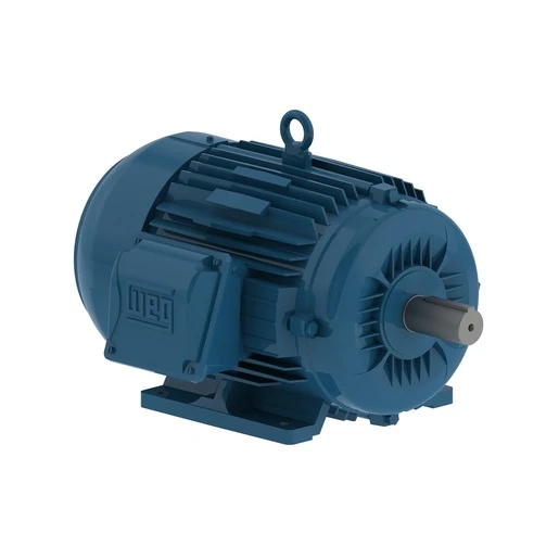 MOTOR TRIFASICO 4P IP55 W22 C100L 220/380 3HP 11450786 WEG 01