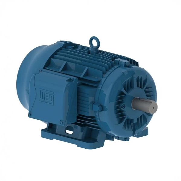 MOTOR DOBLE VELOCIDAD 8/4P C160L 9,5/15HP 11959707 WEG 01