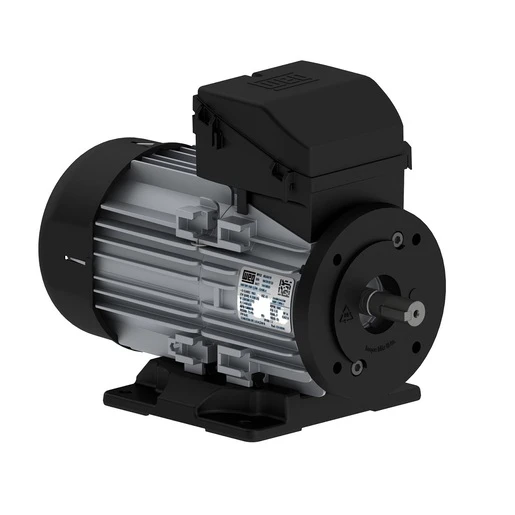 MOTOR MONOFASICO 4P IP 55 W12 B34T 220V 0,33HP 16221888 WEG 01